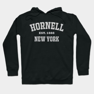 Hornell, New York Hoodie